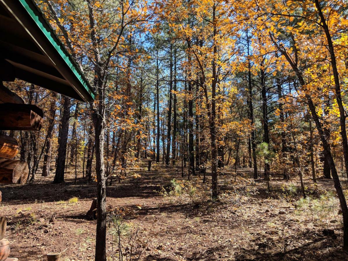 Cozy Cub Log Cabin - Year Round Tranquil Beauty Pinetop-Lakeside Exterior photo