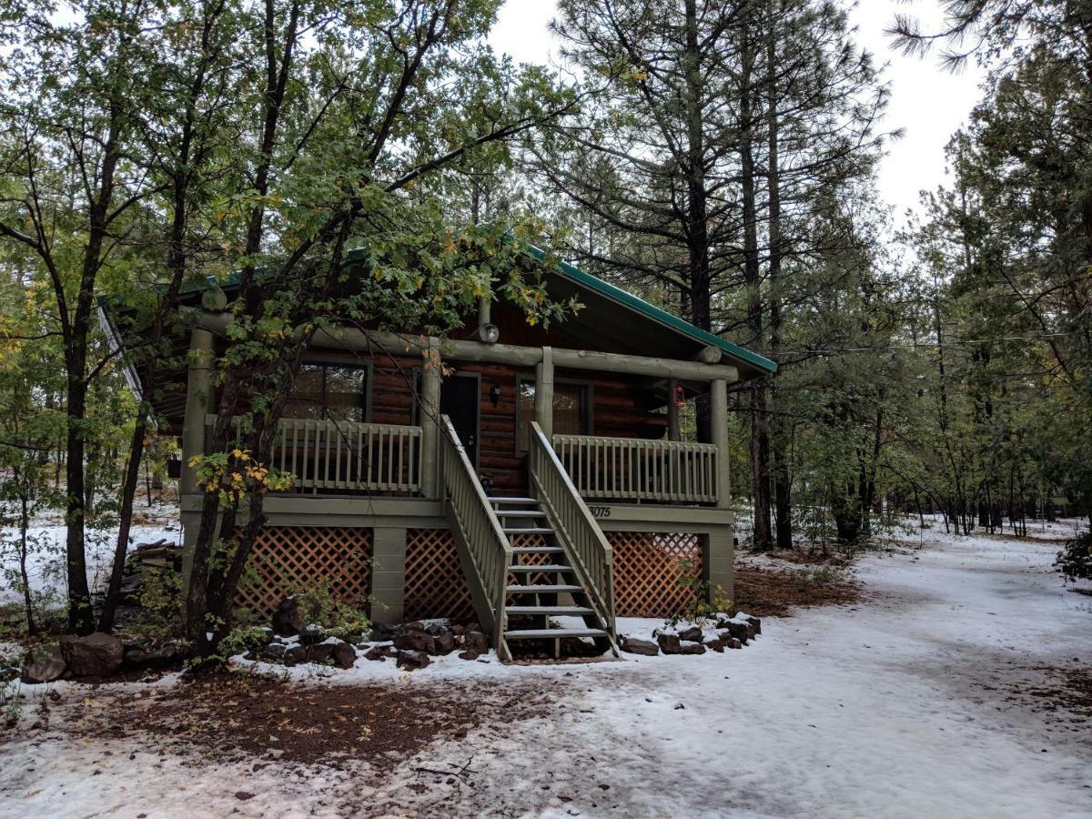 Cozy Cub Log Cabin - Year Round Tranquil Beauty Pinetop-Lakeside Exterior photo